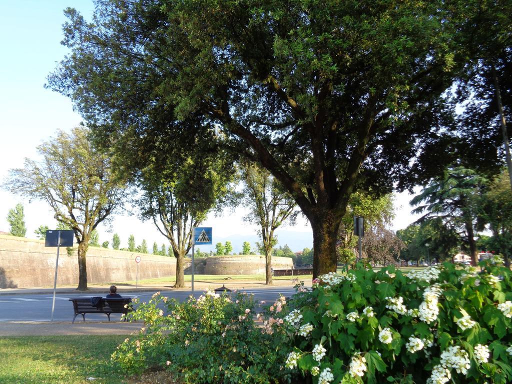 Liz Beth Apartment Lucca Phòng bức ảnh