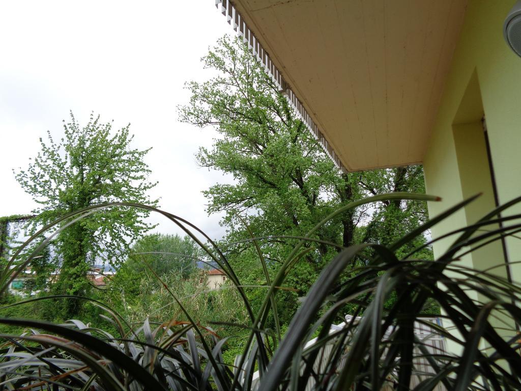 Liz Beth Apartment Lucca Phòng bức ảnh